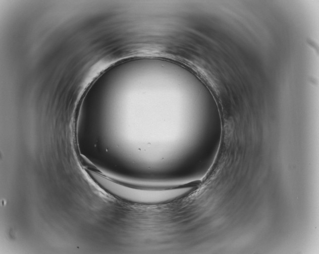 X0000097301432200802221324