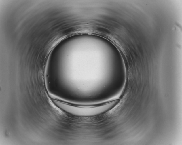 X0000097301433200802221324