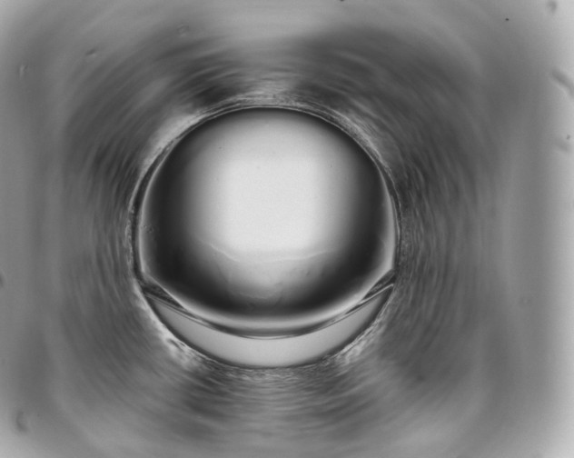 X0000097301434200802221324