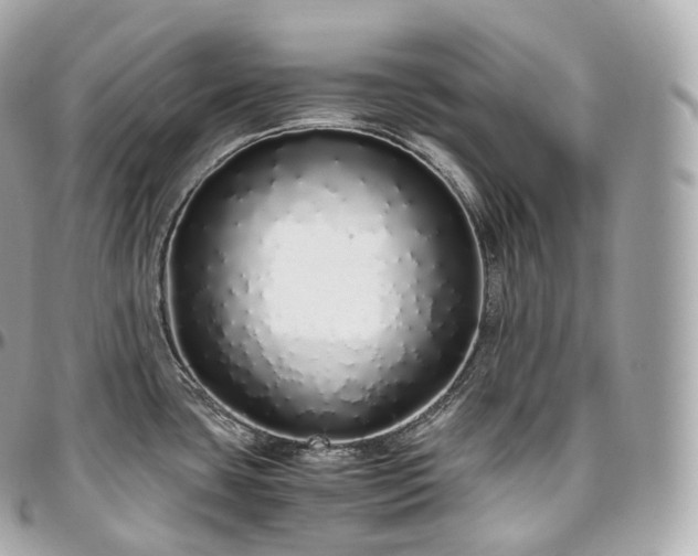 X0000097301435200802221325