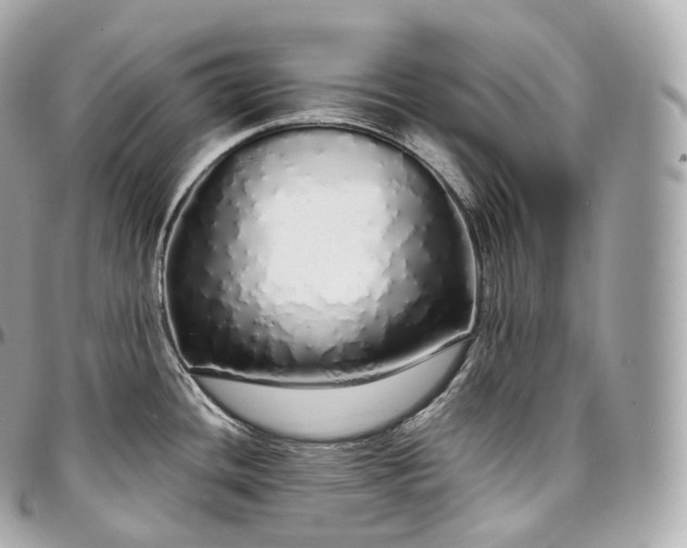 X0000097301436200802221325