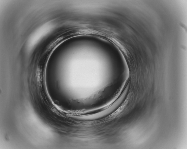 X0000097301438200802221325