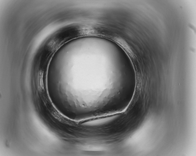 X0000097301439200802221325