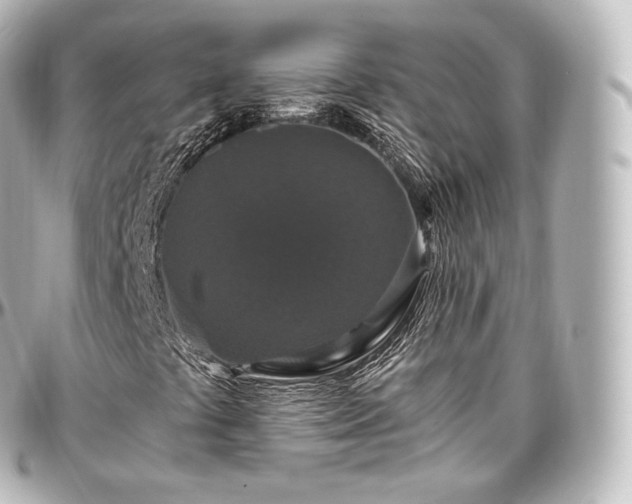X0000097301441200802221324