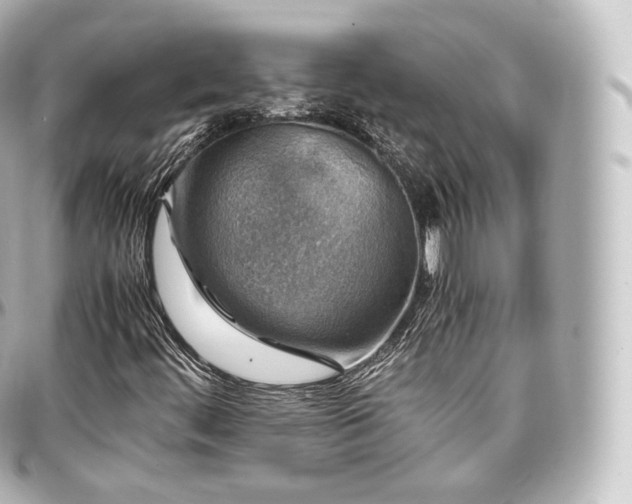X0000097301444200802221324