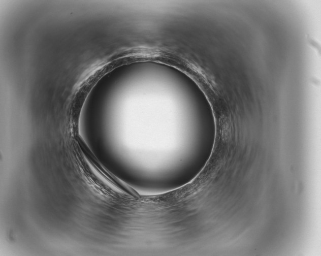 X0000097301448200802221324