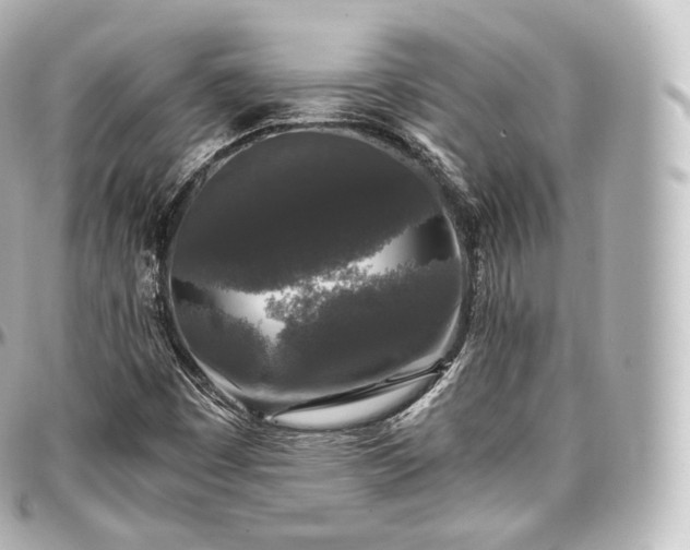 X0000097301449200802221324