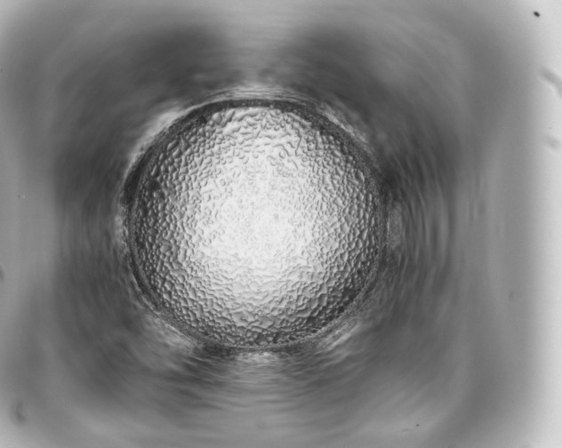 X0000097301454200802221324