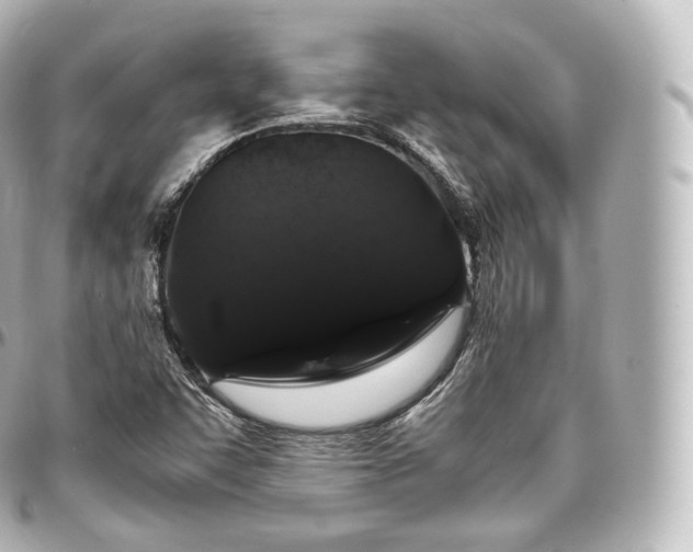 X0000097301455200802221324