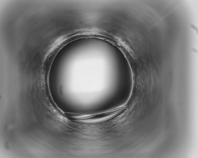 X0000097301456200802221324