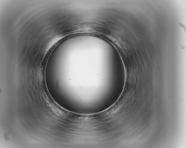 X0000097301458200802221324
