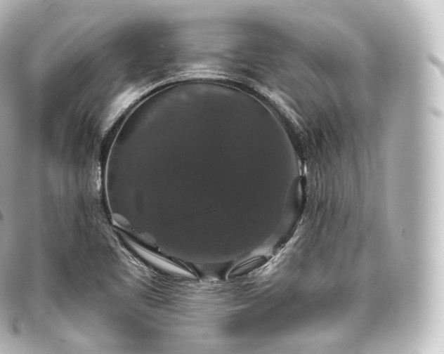 X0000097301461200802221323