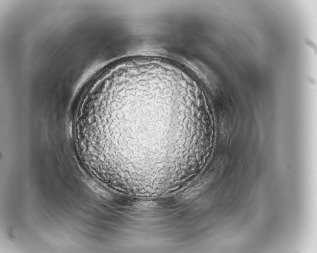 X0000097301462200802221323