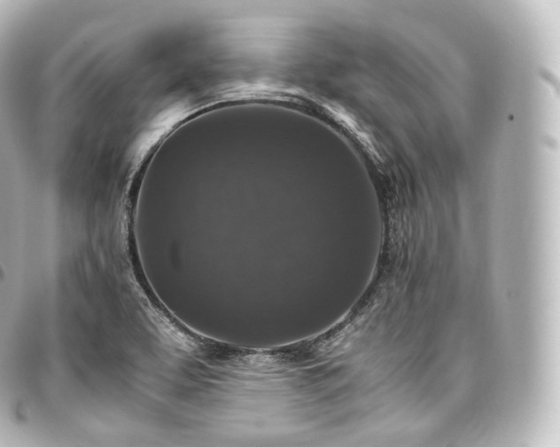X0000097301463200802221323