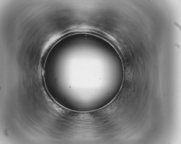 X0000097301464200802221323