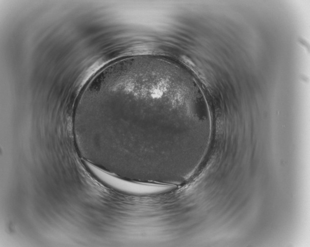 X0000097301465200802221323