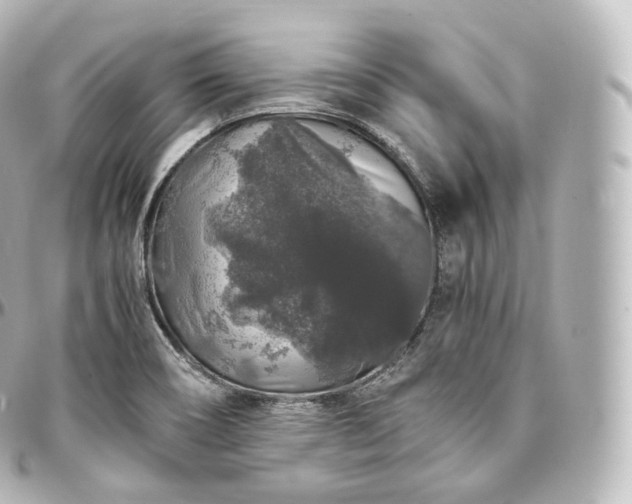 X0000097301466200802221323