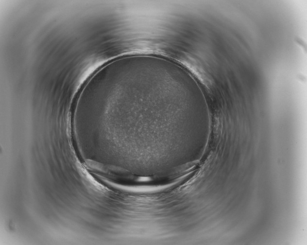X0000097301468200802221323