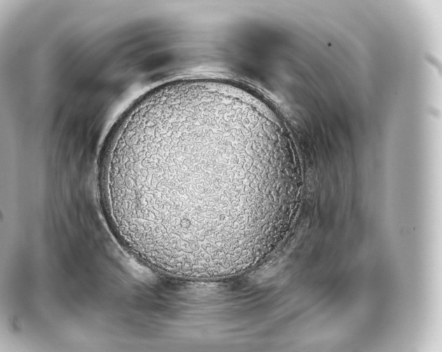 X0000097301470200802221323