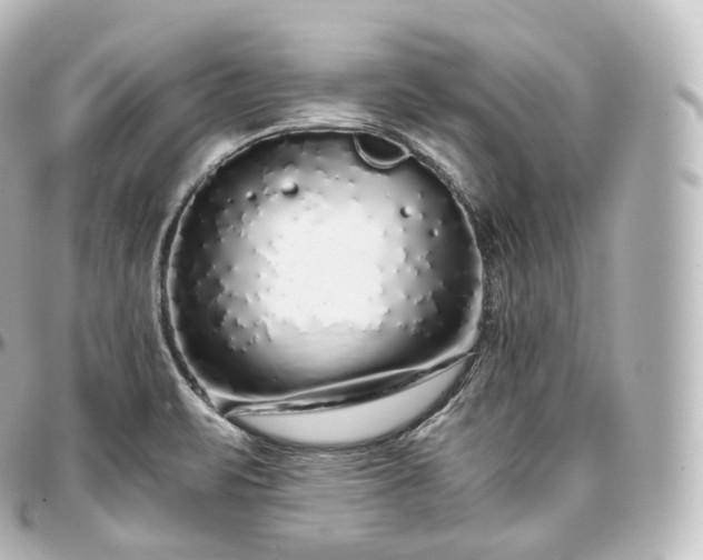 X0000097301471200802221323