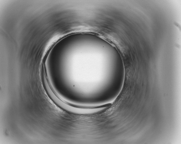 X0000097301472200802221323