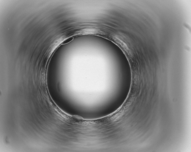 X0000097301473200802221323