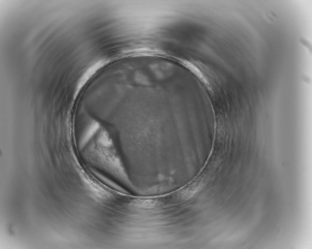 X0000097301474200802221323