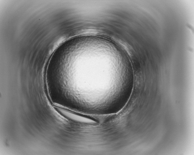 X0000097301475200802221323