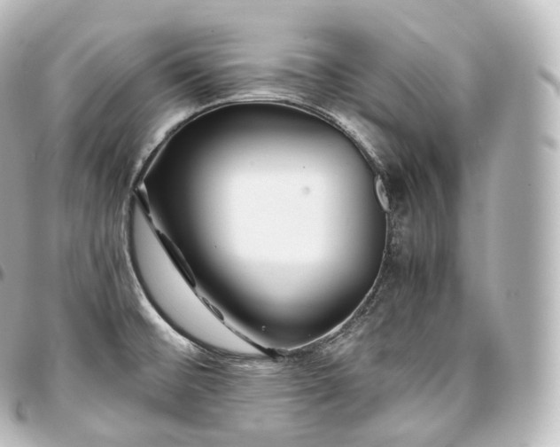 X0000097301476200802221323