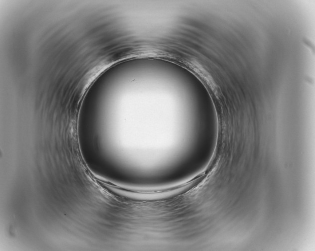 X0000097301481200802221323
