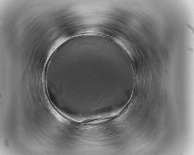 X0000097301482200802221323
