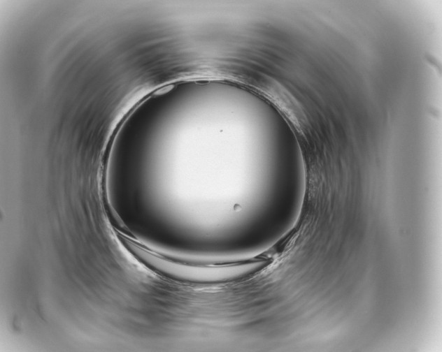 X0000097301484200802221323