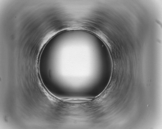 X0000097301485200802221323