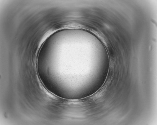 X0000097301486200802221323
