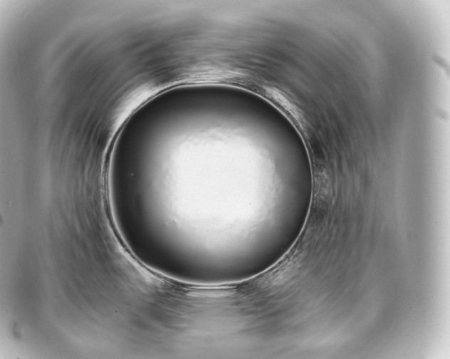 X0000097301487200802221323