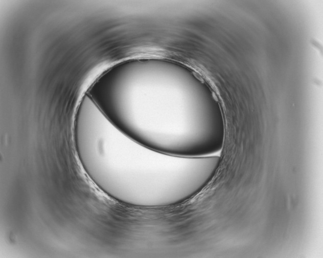 X0000097301488200802221323