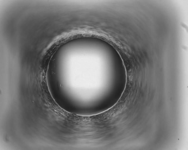 X0000097301495200802221323