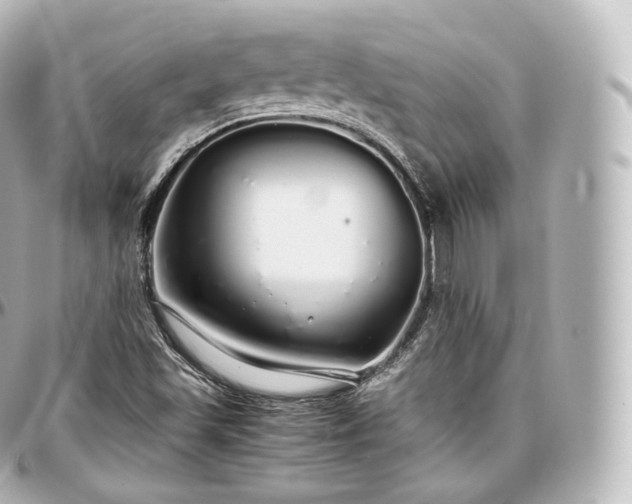 X0000097301501200802221323