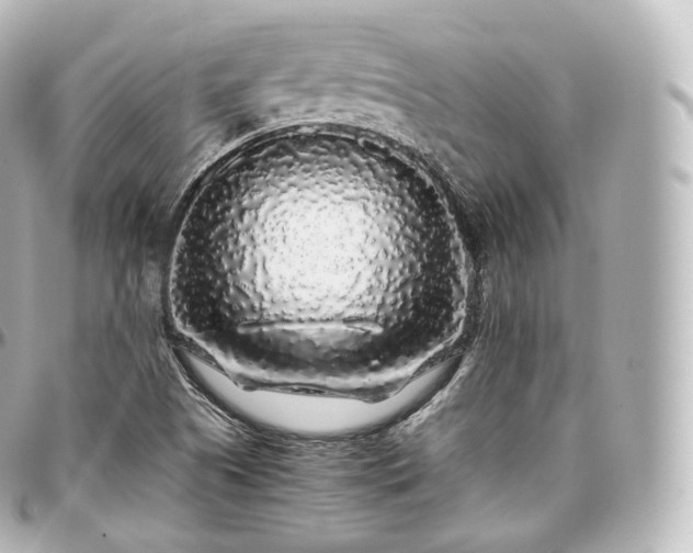 X0000097301505200802221323