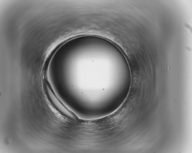 X0000097301511200802221323