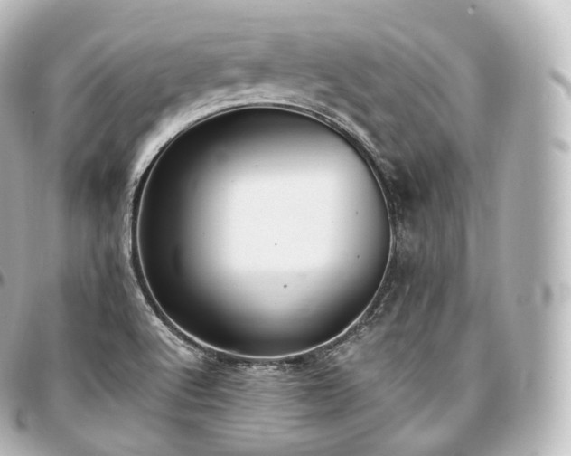 X0000097301512200802221323