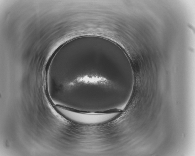 X0000097301515200802221323