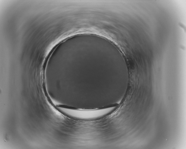 X0000097301519200802221323
