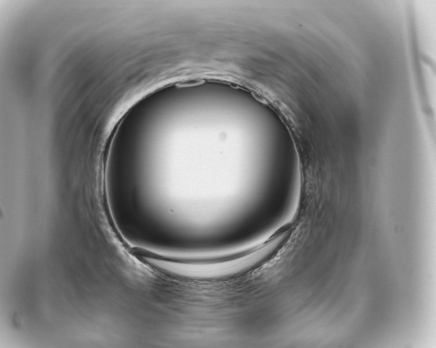 X0000097301520200802221323