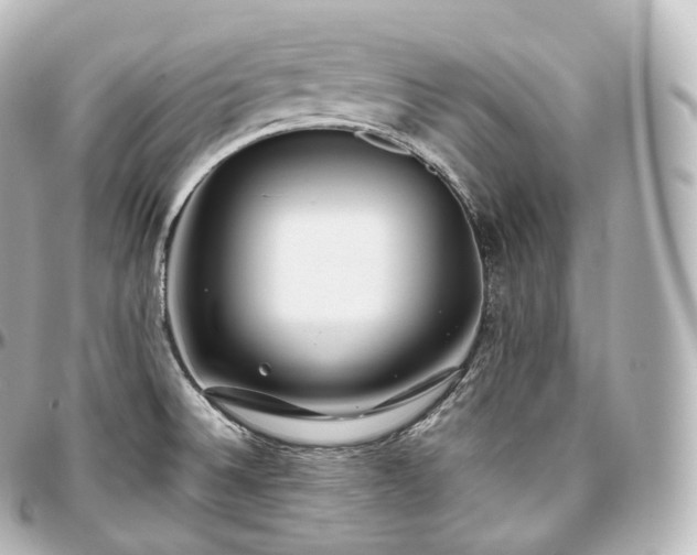 X0000097301524200802221323