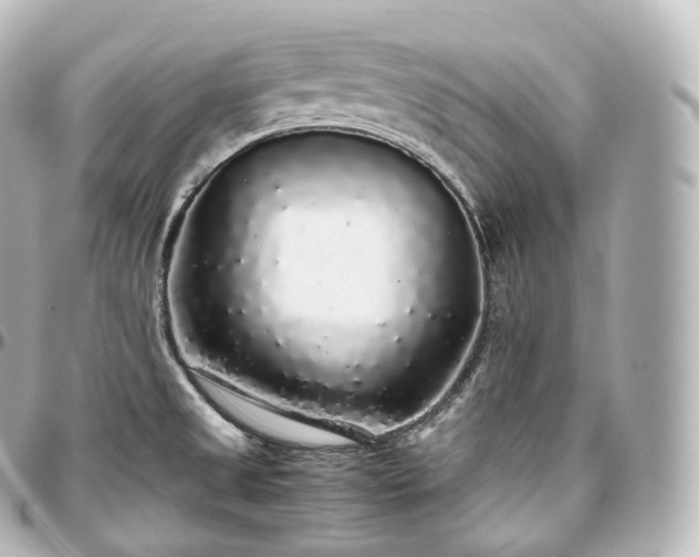 X0000097301525200802221323