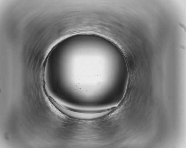 X0000097301526200802221323