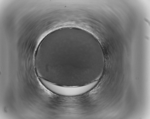 X0000097301527200802221323