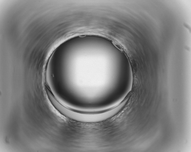 X0000097301528200802221323