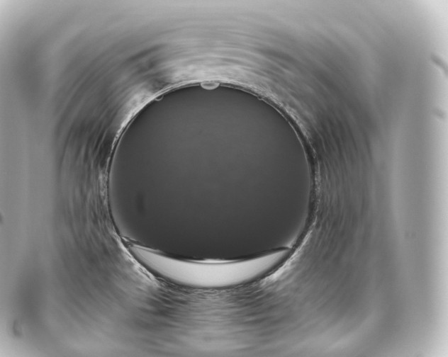 X0000097301529200802221323